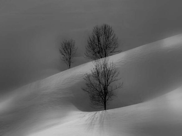 Aleksandar Jovanovic (Serbia) – Winter 6624-800
