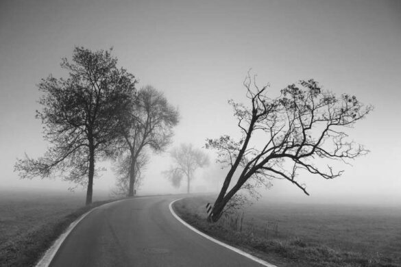Artur Jastrzebski (Poland) – Cielmice is a unique…-800