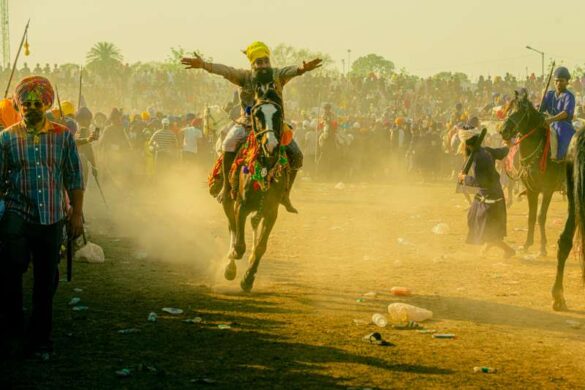 Arun Kumar Madhan (India) – Stunt on horse-800