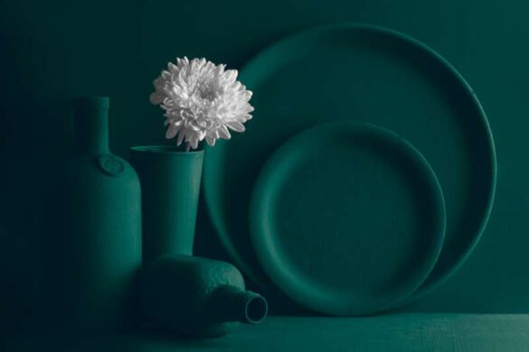 Arun Kumar Madhan (India) – flowers in white 422…-800
