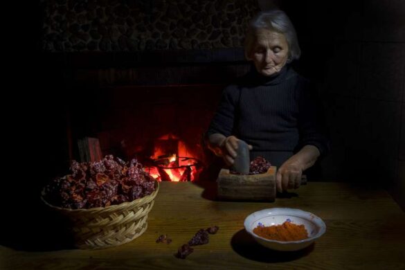 Association of Photographers Of Serbia E Diploma – Umberto Deramo (Italy) – POMODORISECCHI-800