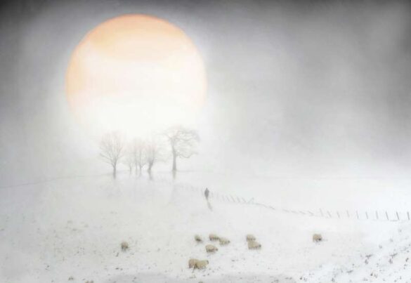 Bruce Harley (Scotland) – Broken Light-800