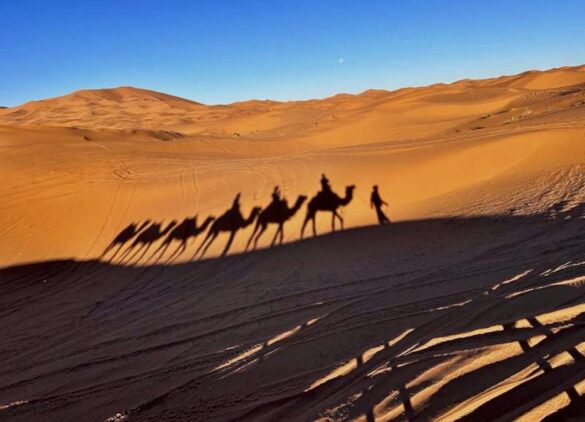 Claudio Dellea (Italy) – Ombre nel deserto-800