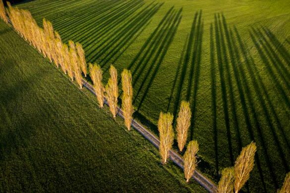Emanuele Fusco (Italy) – Long shadows in the …-800