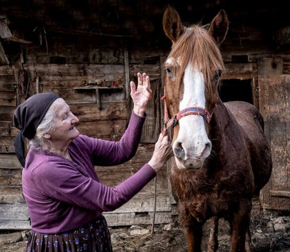 Esther Epstein (Israel) – Patting her horse-800