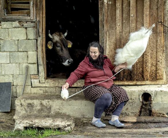 Esther Epstein (Israel) – Working in company-800