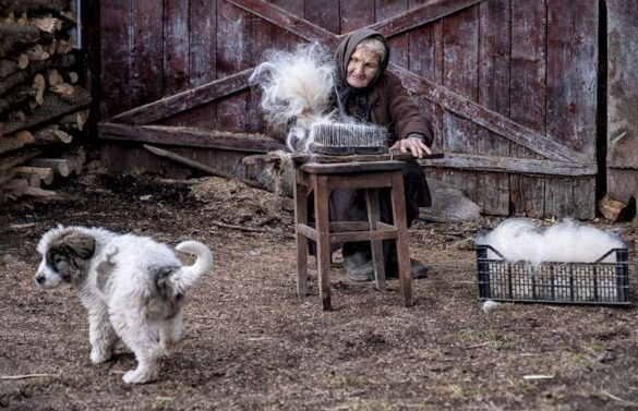 Esther Epstein (Israel) – Working with wool-800