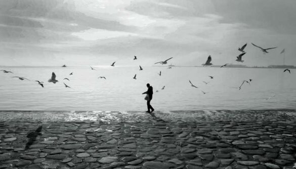 IAAP Gold E Medal – Ilgar Jafarov (Azerbaijan) – By the sea-800