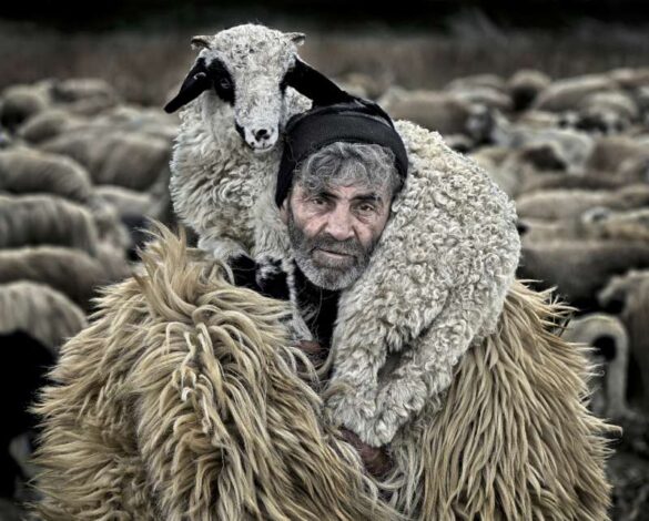 Istvan Kerekes (Hungary) – Shepherd and lamb-800