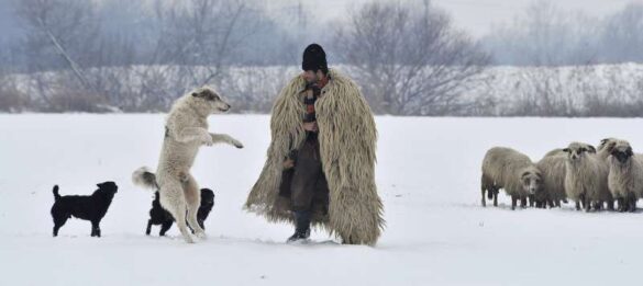 Istvan Kerekes (Hungary) – Winter moment-800