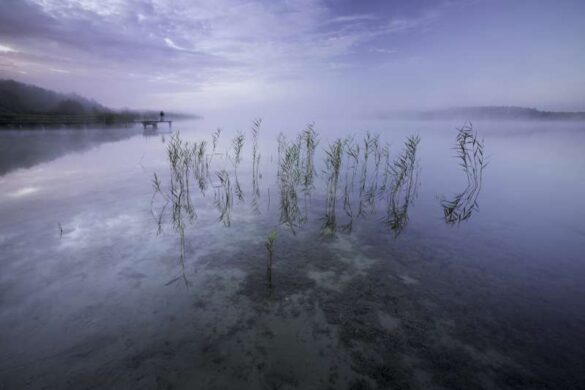Jan Jaskula (Poland) – Mists Observer-800