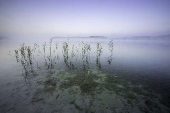 Jan Jaskula (Poland) – Silence-800
