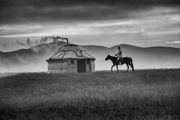 Jef Lemmens (Belgium) – Morning exploration-800