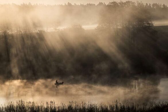 Kamila Wisniewska Halka (Poland) – The Light That Wakes…-800