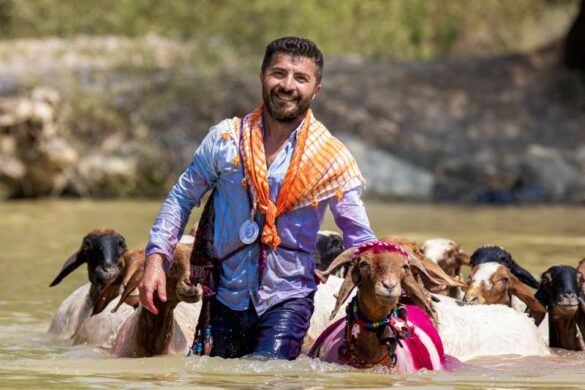 Kazim Yesilyurt (Turkiye) – COBAN-800