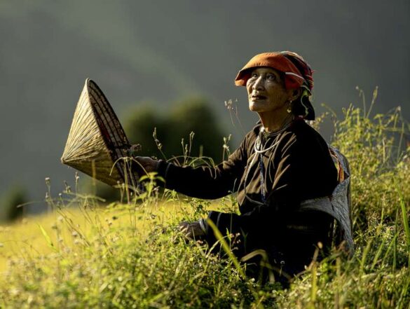 Khanh Tran (VietNam) – Elder in the Fields-800