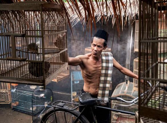 Mahendra Putra Lim (Indonesia) – Melatih burung 289-800