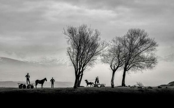 Mehmet Gokyigit (Cyprus) – men and horses-800
