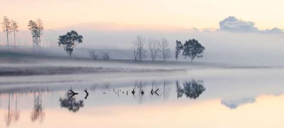 Michael Egan (Australia) – Mannus Mist-800