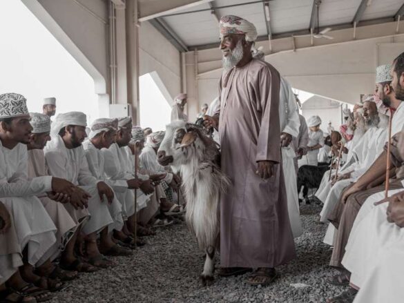 Nasser Al Maskari (Oman) – Omani Goat Bazar-800