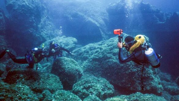 Nikolaos Gatsoulis (Greece) – Underwater photograp…-800