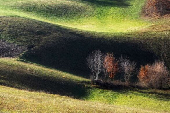 Salon Digital Diploma – Mirjana Jovanovic (Serbia) – Kamenitovac 28-800