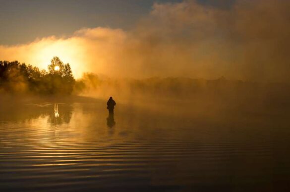 Serhii Miroshnyk (Ukraine) – Dawn in Gold-800