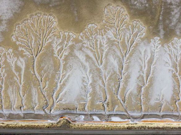Serpil Eroglu (Turkiye) – Veins of Drought-800