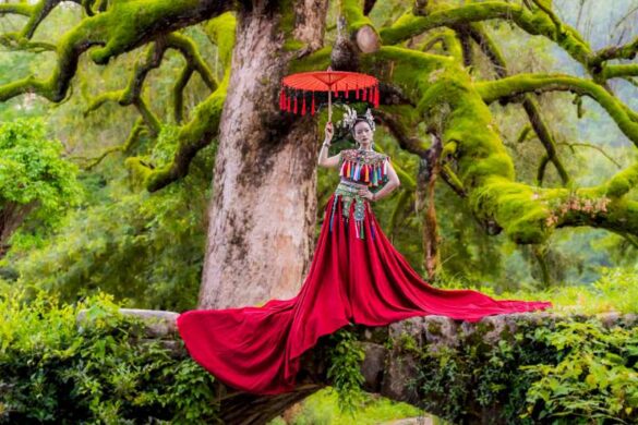 Shing Kit Lee (Hong Kong) – the Druid is with th…-800