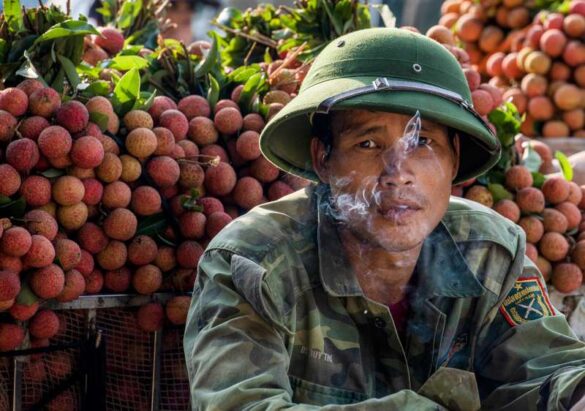 Thu Ha Tran (VietNam) – Lychee Season 1-800