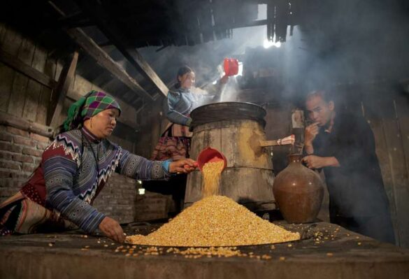Thu Ha Tran (VietNam) – Making Bac Ha Corn W…-800