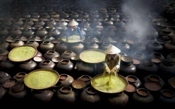 Thu Ha Tran (VietNam) – Making Soy Sauce in …-800