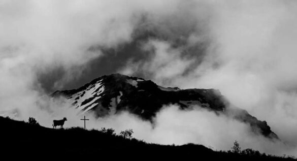 Urs Albrecht (Switzerland) – Mountain with cow an…-800