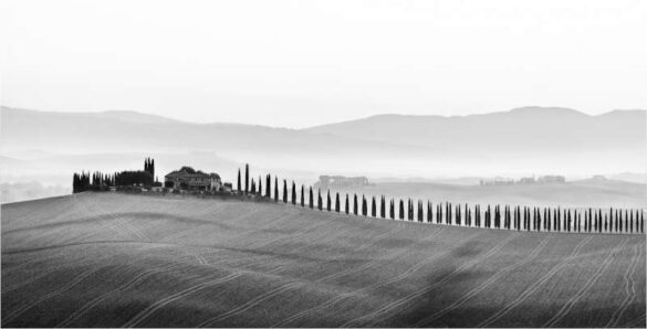 Ursula Bruder (Germany) – Tuscany farm-800