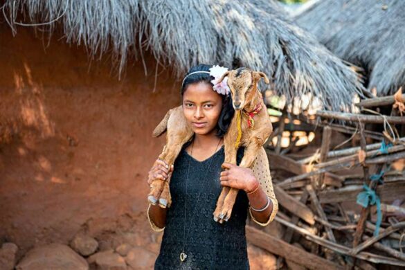Venkatesh BS (India) – Village girl with go…-800