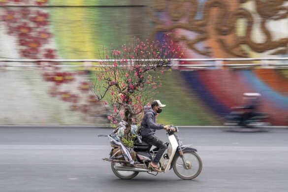 Viet Cao Khac (VietNam) – Spring on wheels-800