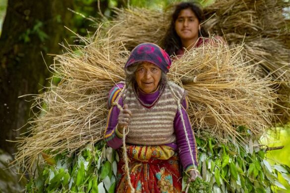 Vinay BV (India) – Himalayan woman-800
