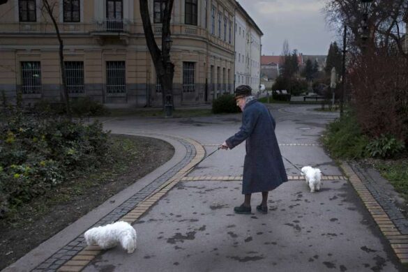 Vojislav Lukovic (Serbia) – Afternoon walk-800