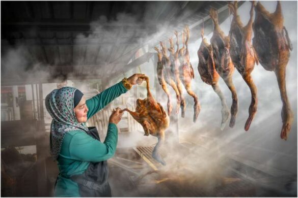 Wee Seng Goh (Singapore) – DUCK SALE–800