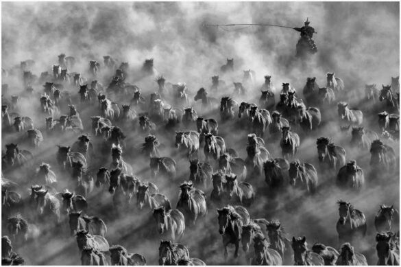 Wee Seng Goh (Singapore) – Masses-800