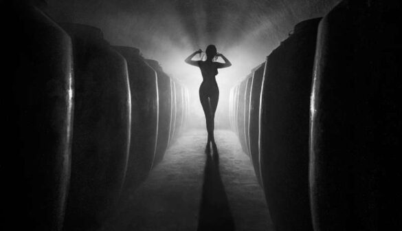 Zhizhou Jiang (China) – Cellar-800