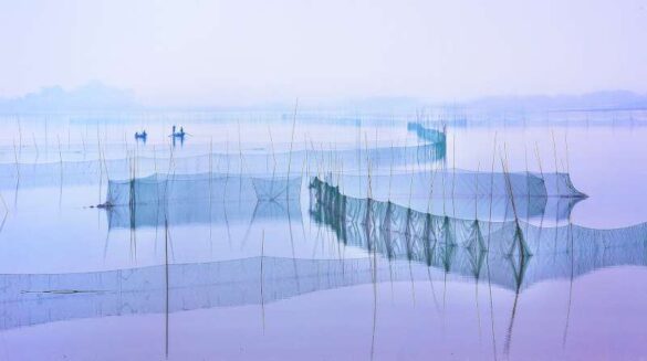 Zhizhou Jiang (China) – Dongting Lake water …-800