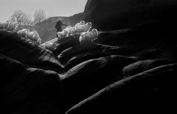 Zhizhou Jiang (China) – the Loess Plateau-800